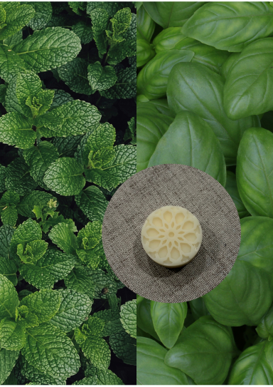 Fondant parfumé menthe basilic Fondant parfumé menthe basilic