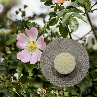 Fondant rose sauvage Fondant rose sauvage